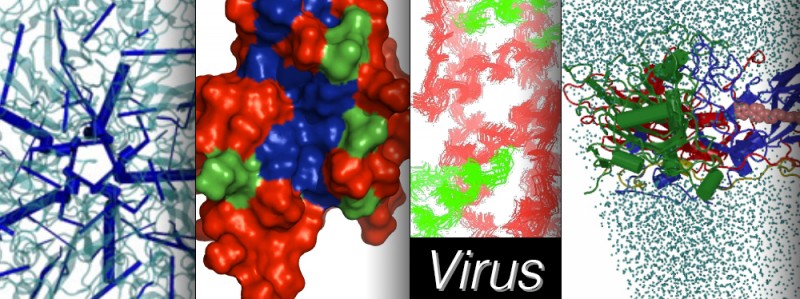 Viruses_slide
