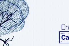 Enzyme_slide