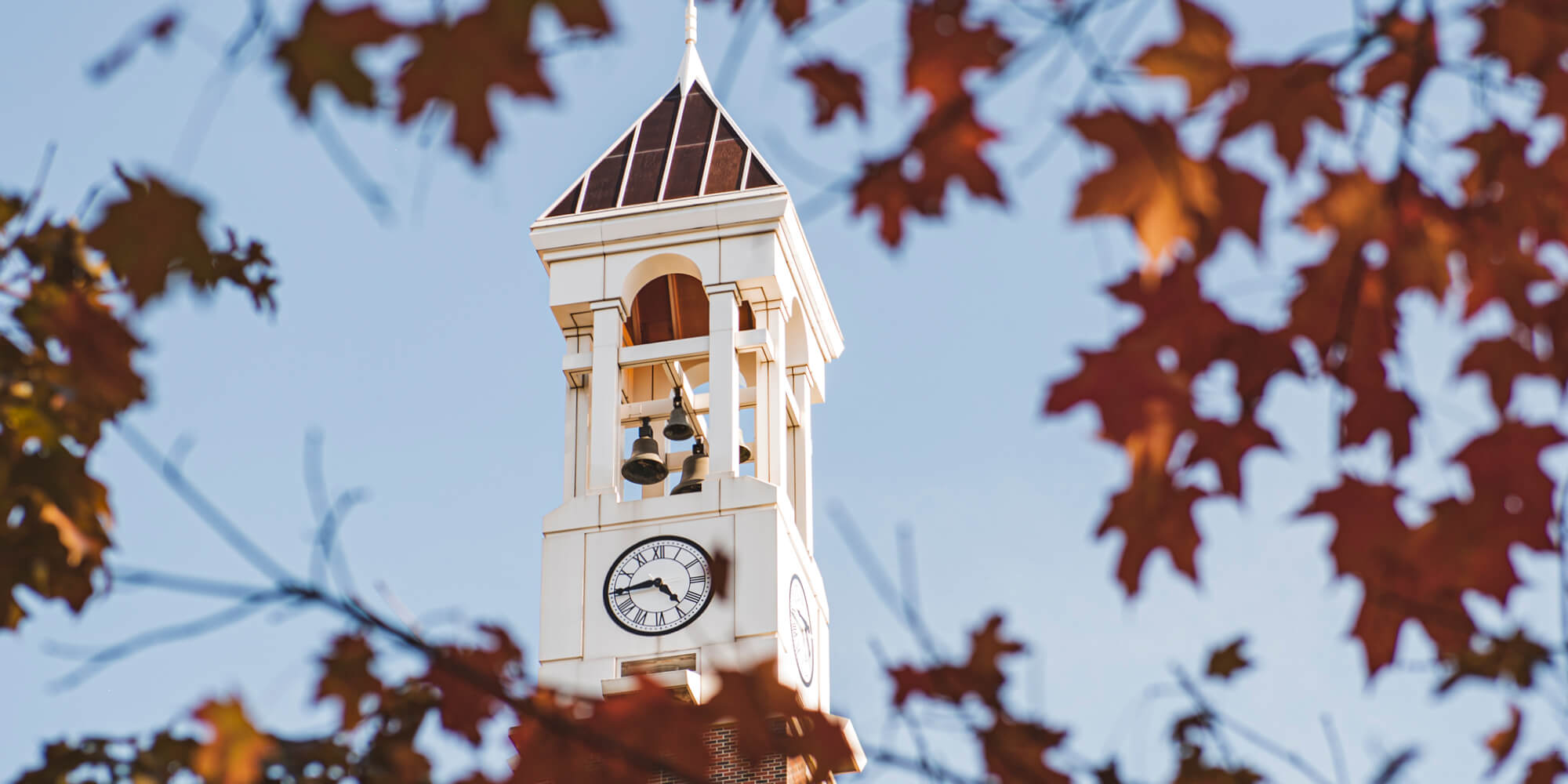 University clock tower framed by autumn maple leaves
