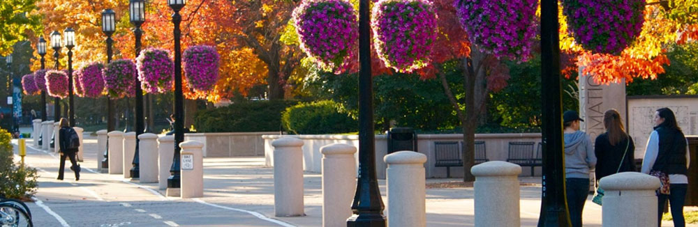 Pictured: banner image of fall leaves on Purdue's campus
