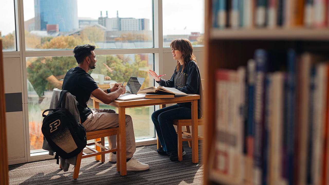 Two students studying in a library