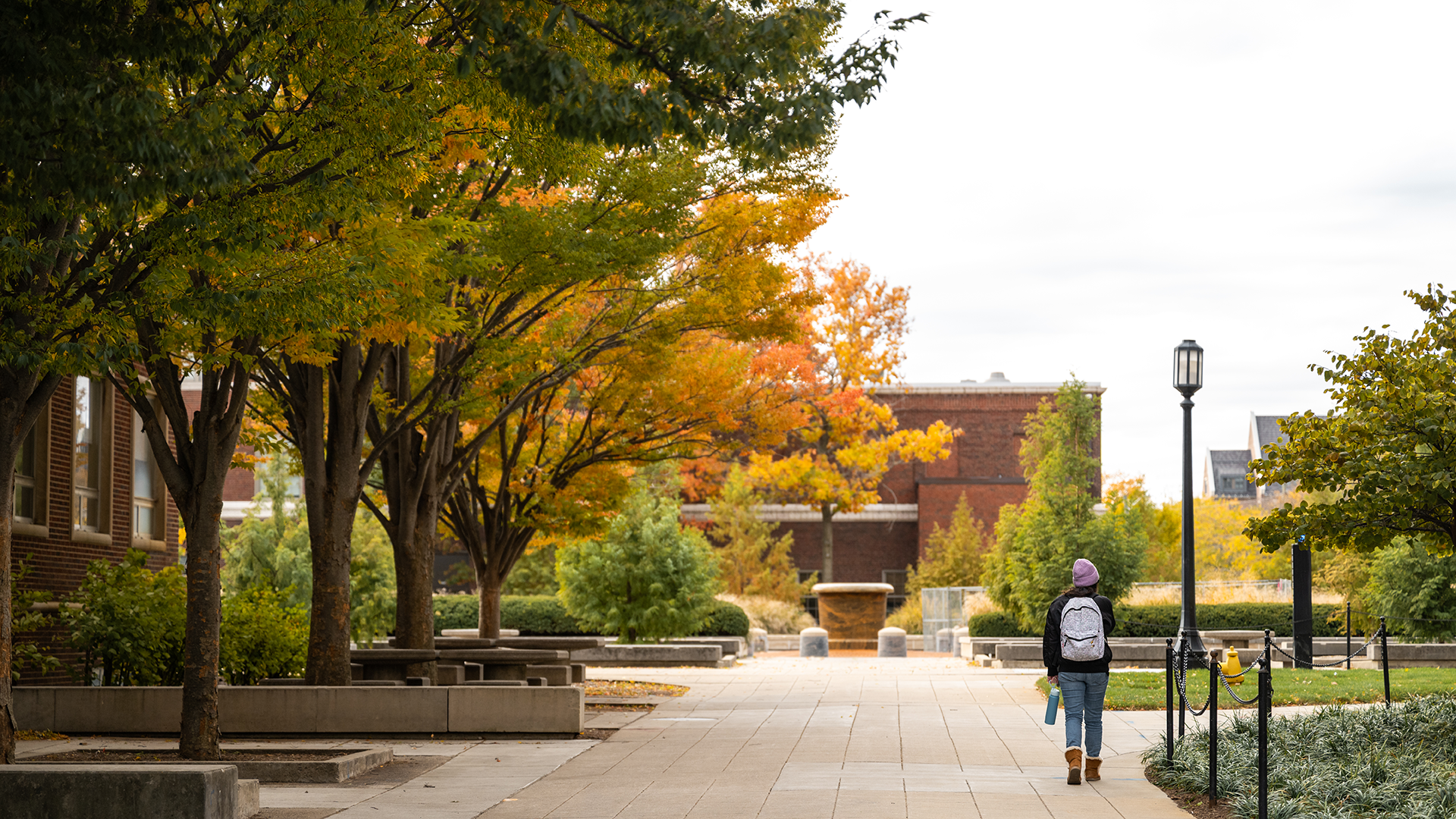 Student walking on campus in the fall