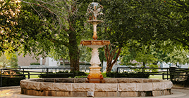 Small fountain surrounded by trees at sunset