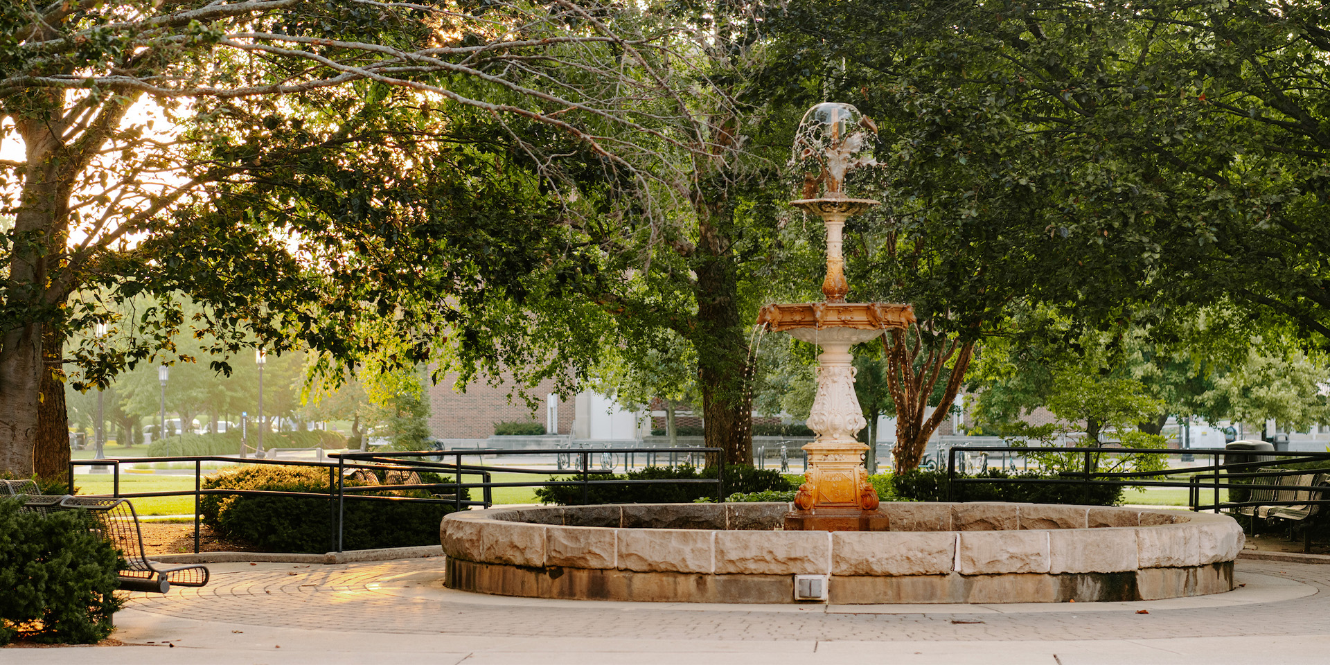 Small fountain surrounded by trees at sunset
