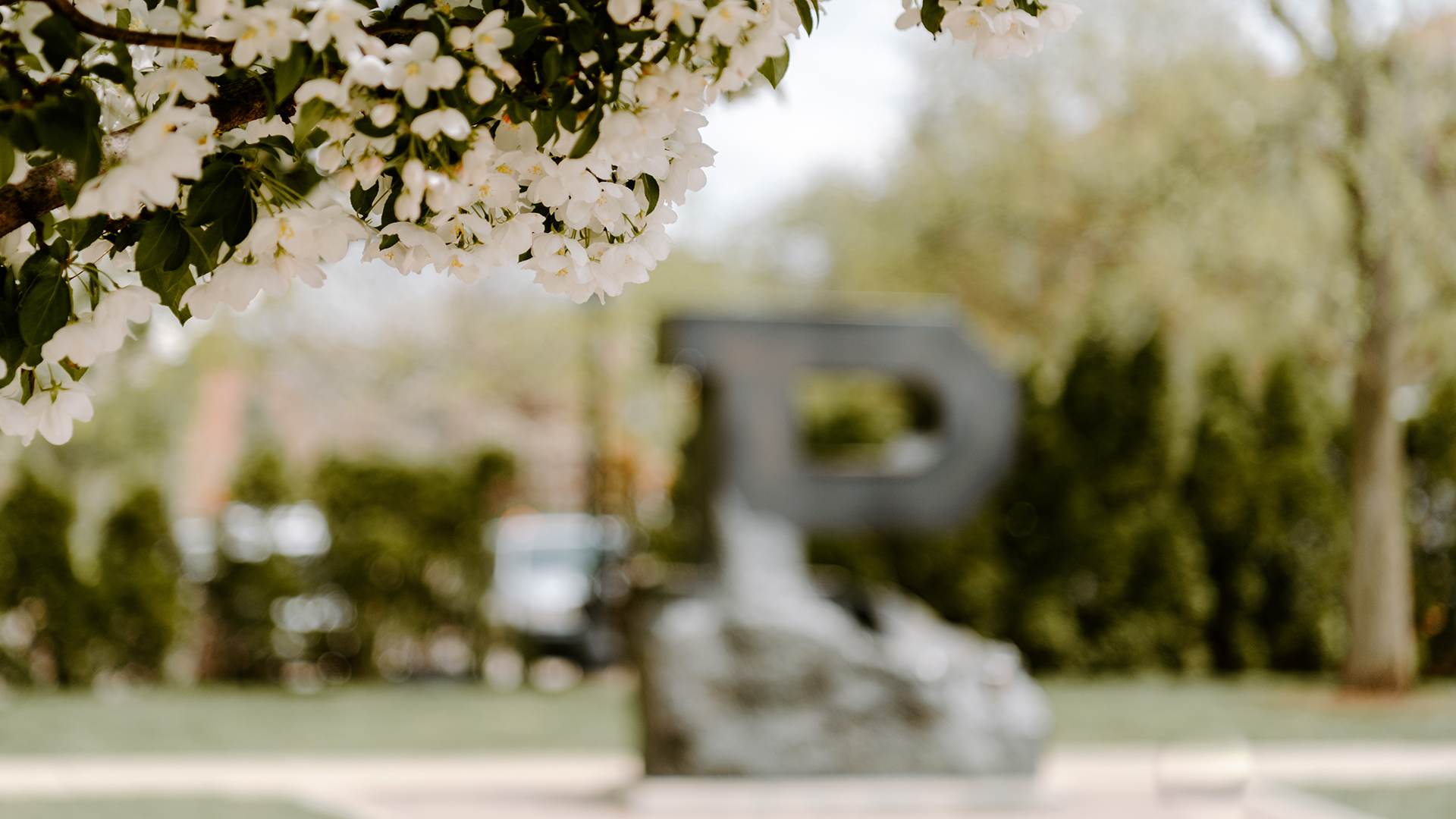 Unfinished P sculpture in the background on a sunny spring with white blossoms on a tree