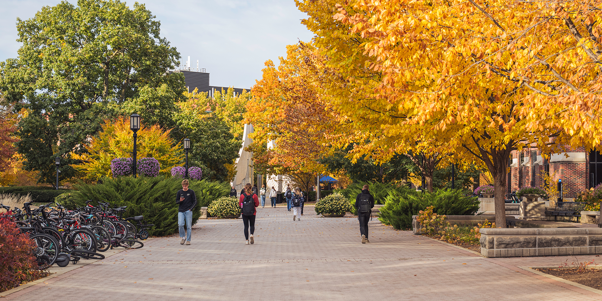 Students walking on campus near the Engineering Fountain in the fall