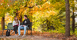 Students sitting on a park bench in the fall