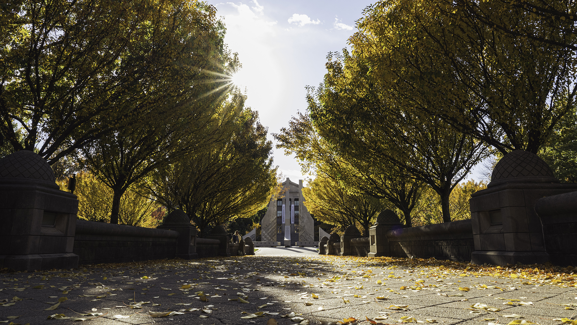 Fall morning on Engineering Mall looking toward Hovde Hall