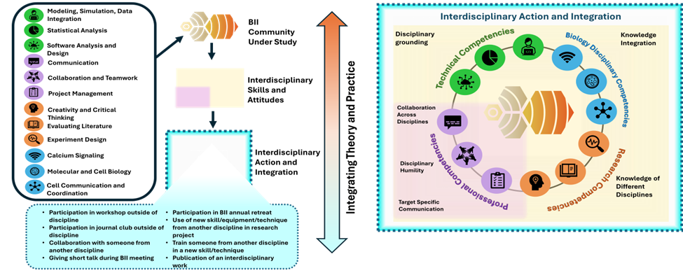 Competency Framework for Training
