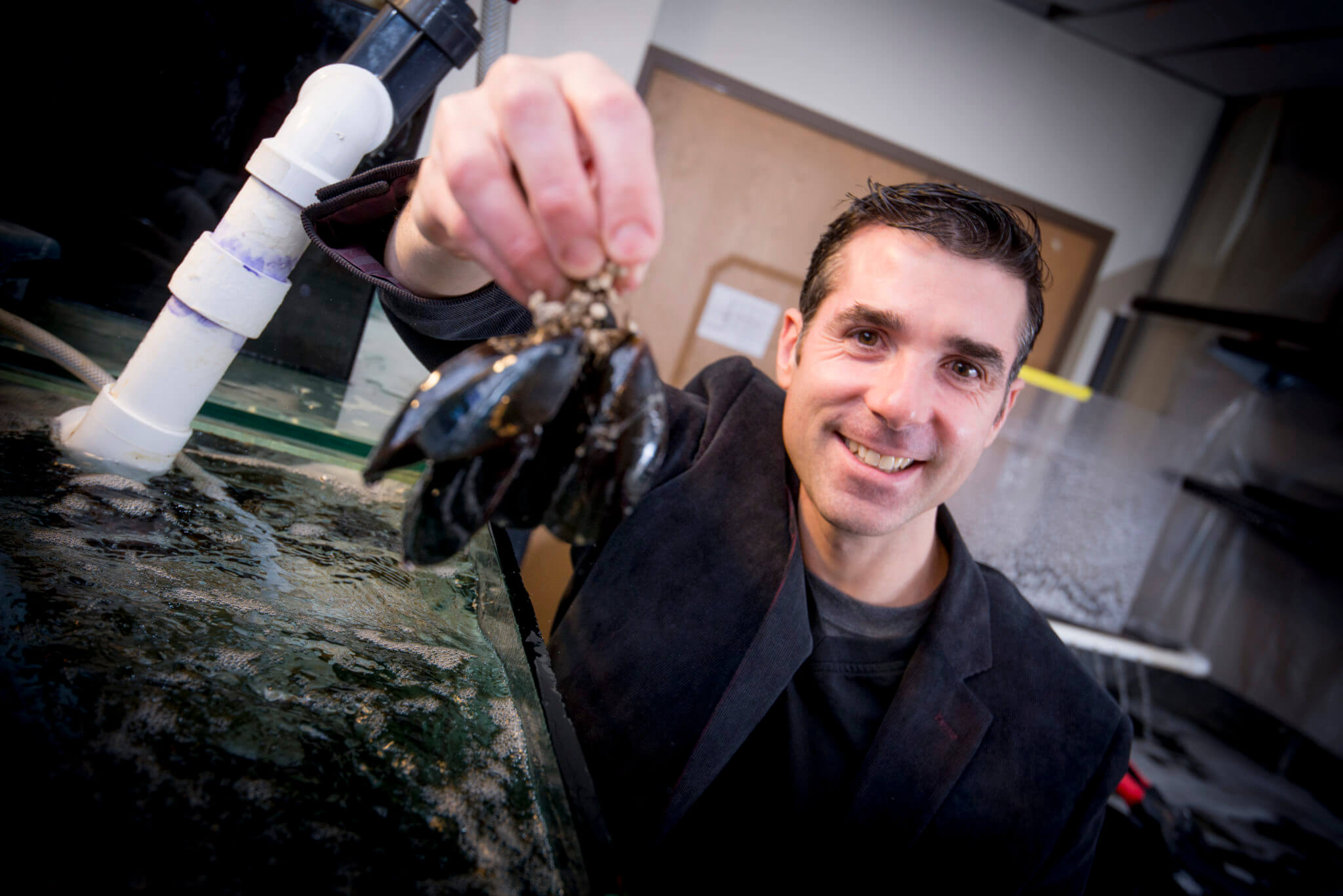 Purdue Wilker Mussel-mimicking adhesive polymer shown to be non-toxic to cells ...
