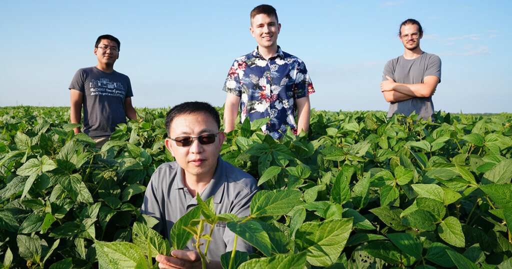 Jianxin Ma, professor of agronomy at Purdue University holds the leaves of a soybean plant. Behind Ma, from left are students Weidong Wang, Chance Clark, and Dominic Provancal. Ma is working to improve soybean plants as part of Purdue’s Next Moves plant sciences initiative. (Photo by Tom Campbell)