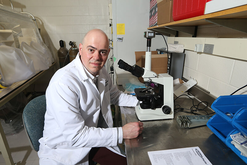 Stephen Lindemann, associate professor of food science at Purdue University, sits at a microscope. (Purdue University photo/Tom Campbell)