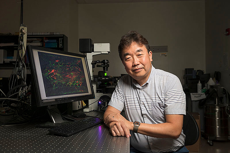 Bumsoo Han, professor of mechanical engineering, has built a realistic model of a pancreatic structure that acts as a “time machine” to understand cancer and reverse its spread. (Purdue University photo/John Underwood)