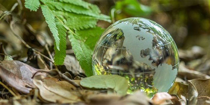 clear globe sitting on pile of leaves