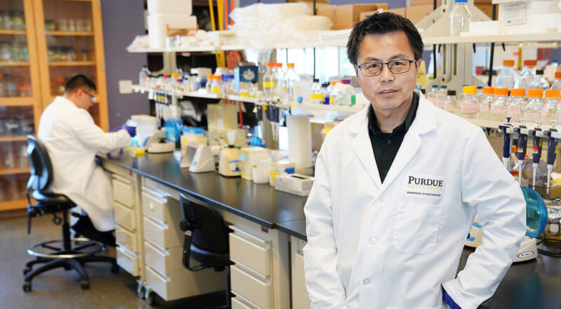 Professor Andy Tao standing in lab