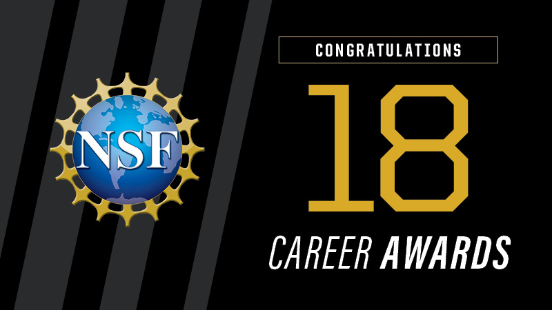 Congratulations: 18 Career NSF awards