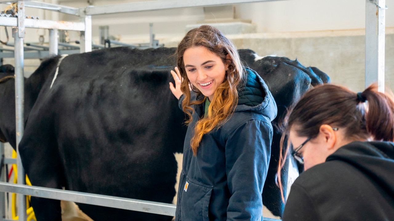 Purdue Dairy Club shares their farming expertise during Spring Fest. 