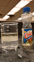 Cooking Oil and water in a beaker