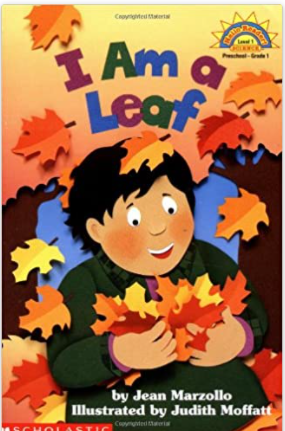 I Am a Leaf, level 1 reader