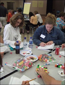 Math and Science Partnership workshop