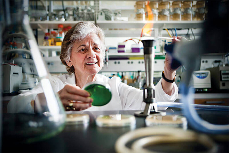 Rita Colwell, first female director of the NSF works in her lab at the Univ. of Maryland.