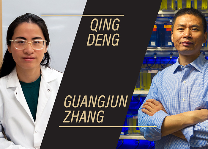 Electric Signals Help Immune Cells Find Their Way