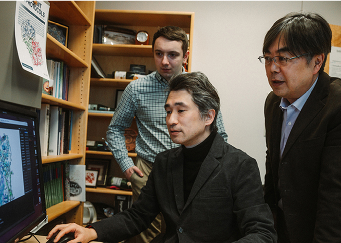 Intellicule receives NIH grant to develop biomolecular modeling software