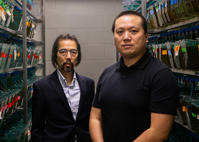 Breaking Through the Data Stack: Purdue Researchers Uncover a Clearer View of Behavior