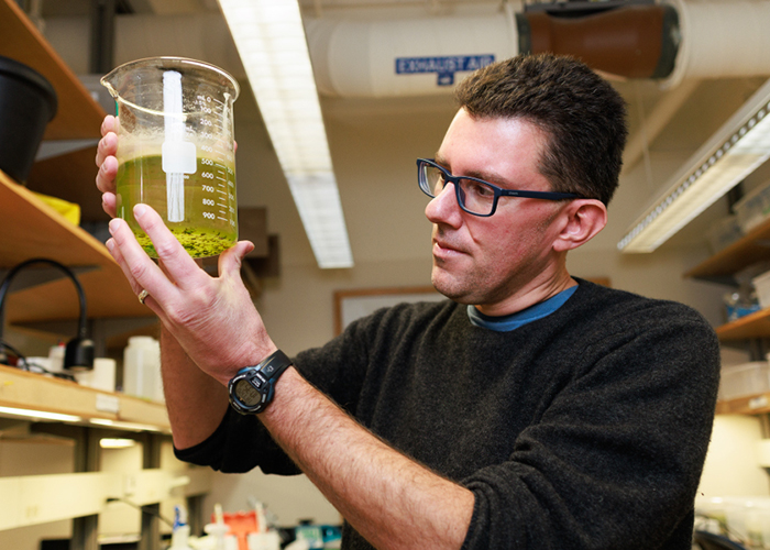 How living systems adjust to heat, one gene at a time