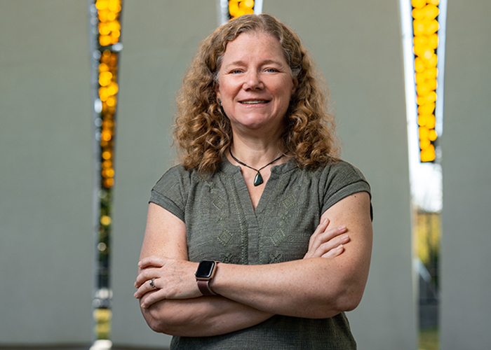 Rocks and rolls: The computational infrastructure of earthquakes and physics of planetary science