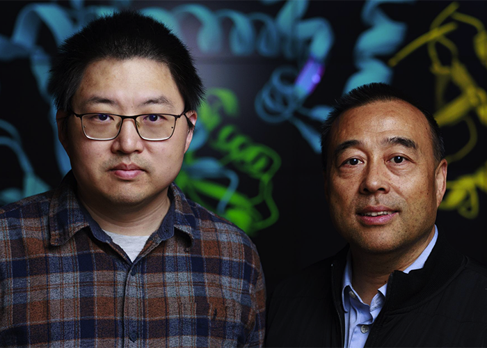 Purdue researchers develop AI model to capture protein motion, advancing drug discovery