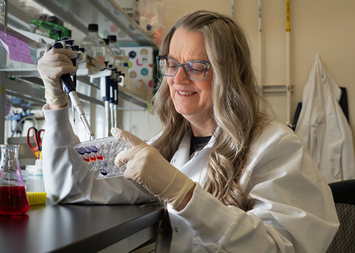 Small segments of RNA halt cancer in multiple ways