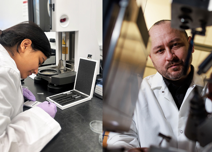 How bacteria steal iron: Purdue researchers uncover a key step in infection