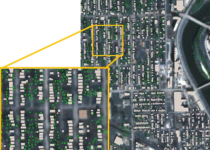 Digital forestry team combines AI with satellite data to monitor urban trees