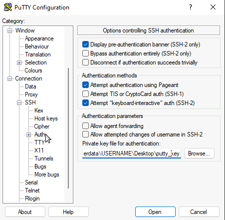 The PuTTY configuration window.