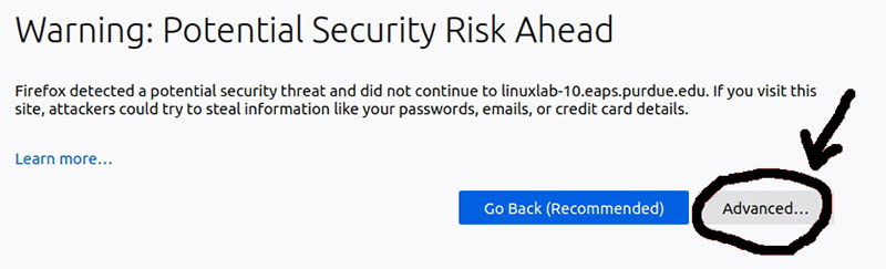Warning: potential security risk ahead, click the advanced button.