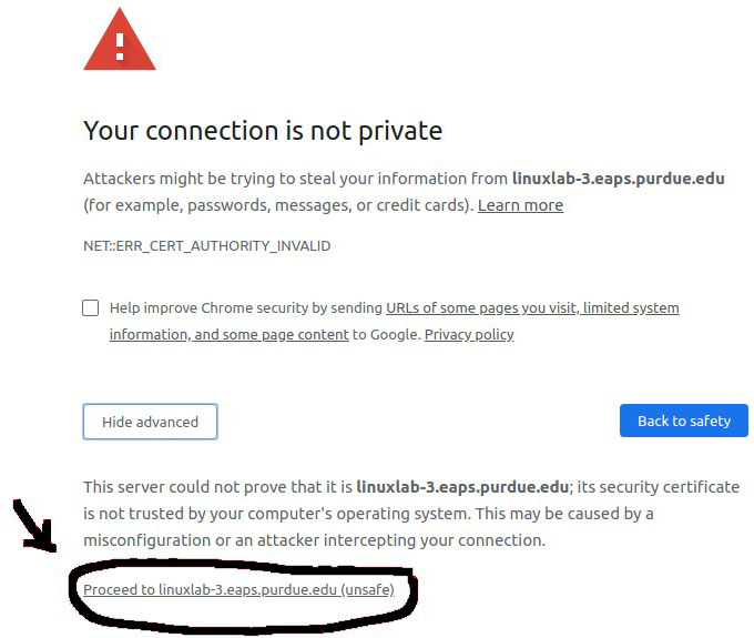 Your connection is not private, procced to your connection.