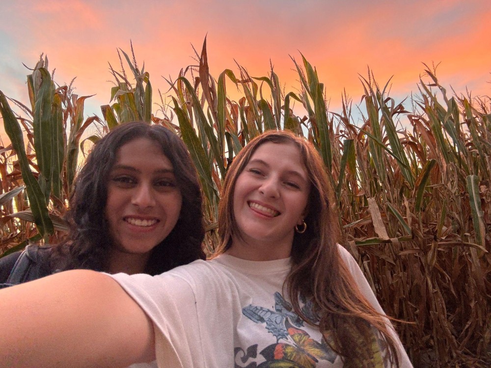 WISP Gathering in a cornmaze