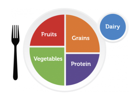 Dietary Guidelines showing division of food groups on a plate.