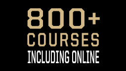 600+ courses, including online