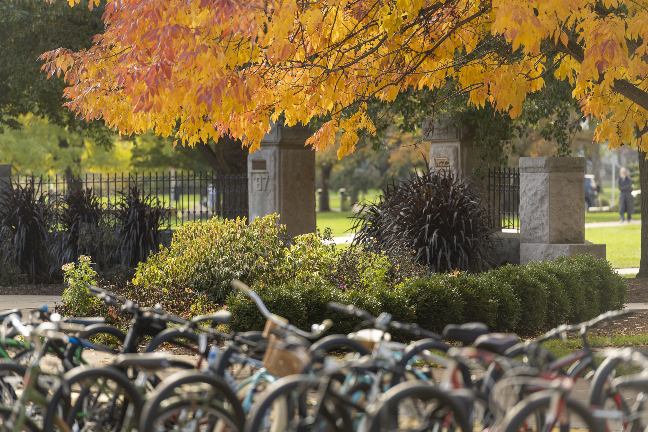 Bike racks on a Fall Campus Scene 