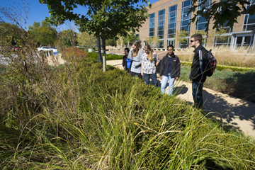 Green Week, Water, bioswale near Pao Hall