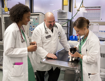 Lights, camera, education