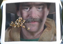 Greg Hunt Jennifer Tsuruda honeybees