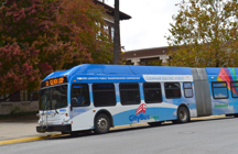 Green Week transportation