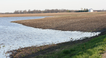 Flooded field