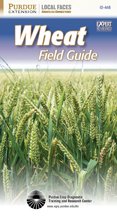 Wheat Field Guide