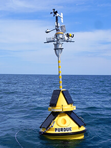 Hook buoy