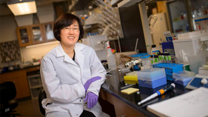 Purdue researchers develop patent-pending IV injection treatment for sepsis - Vimarsana News