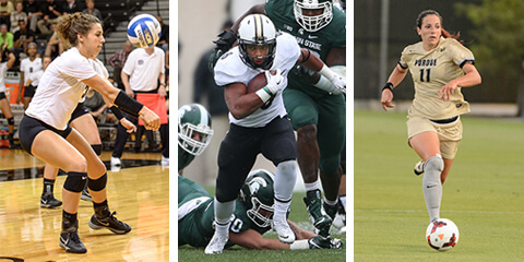 volleyball, football, soccer